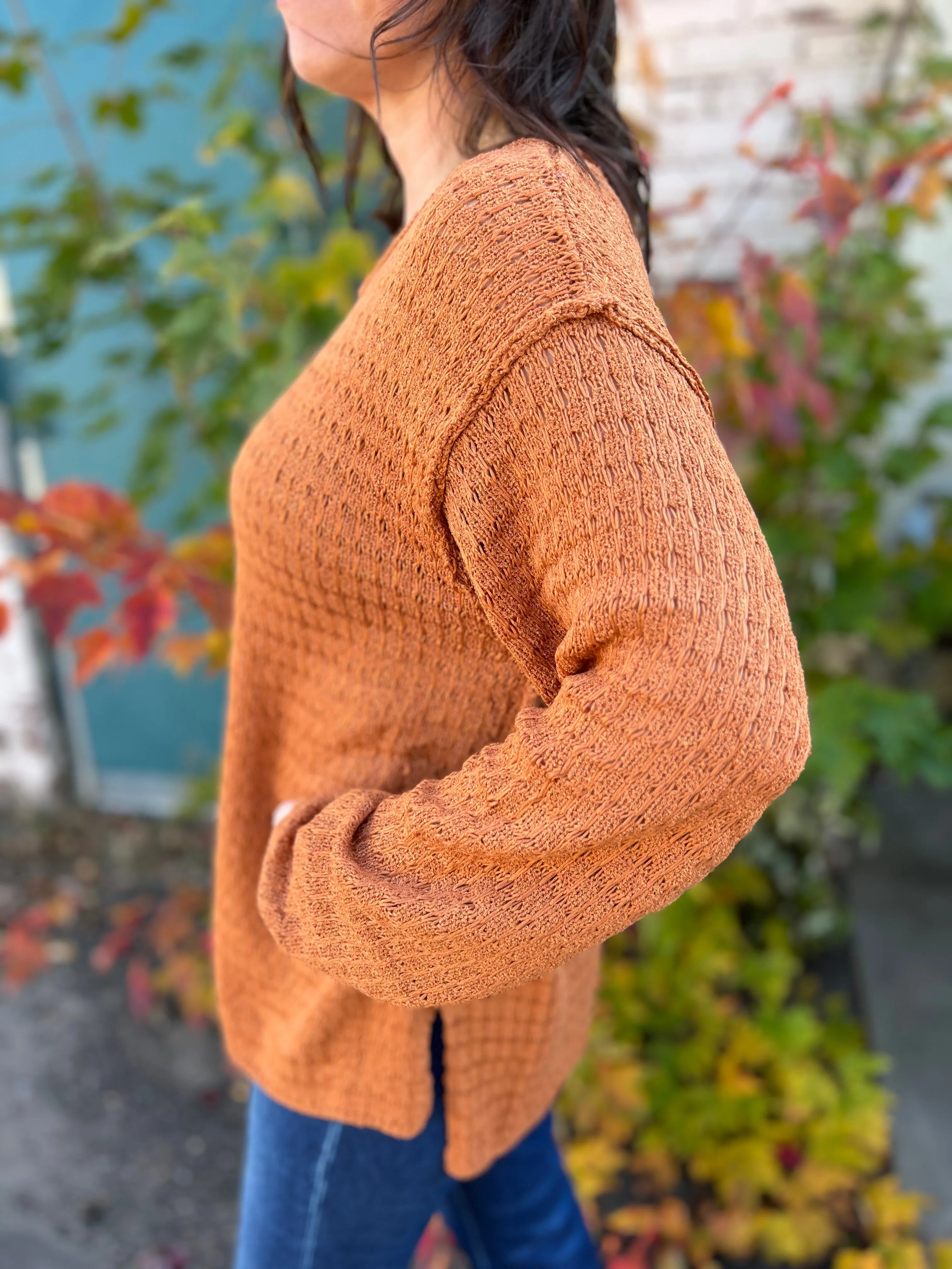 Exposed Seam Knit Pointelle Pattern Sweater