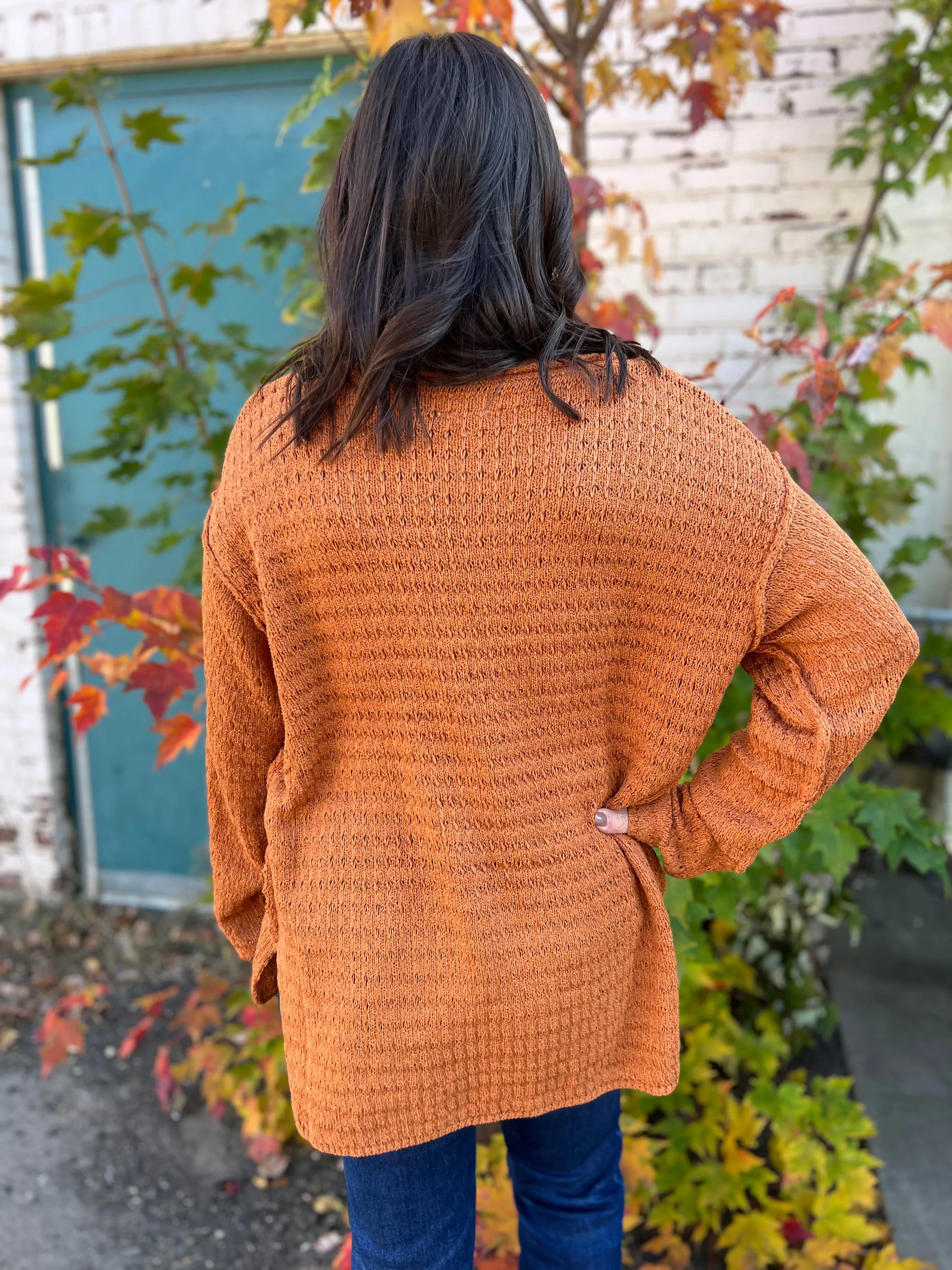 Exposed Seam Knit Pointelle Pattern Sweater