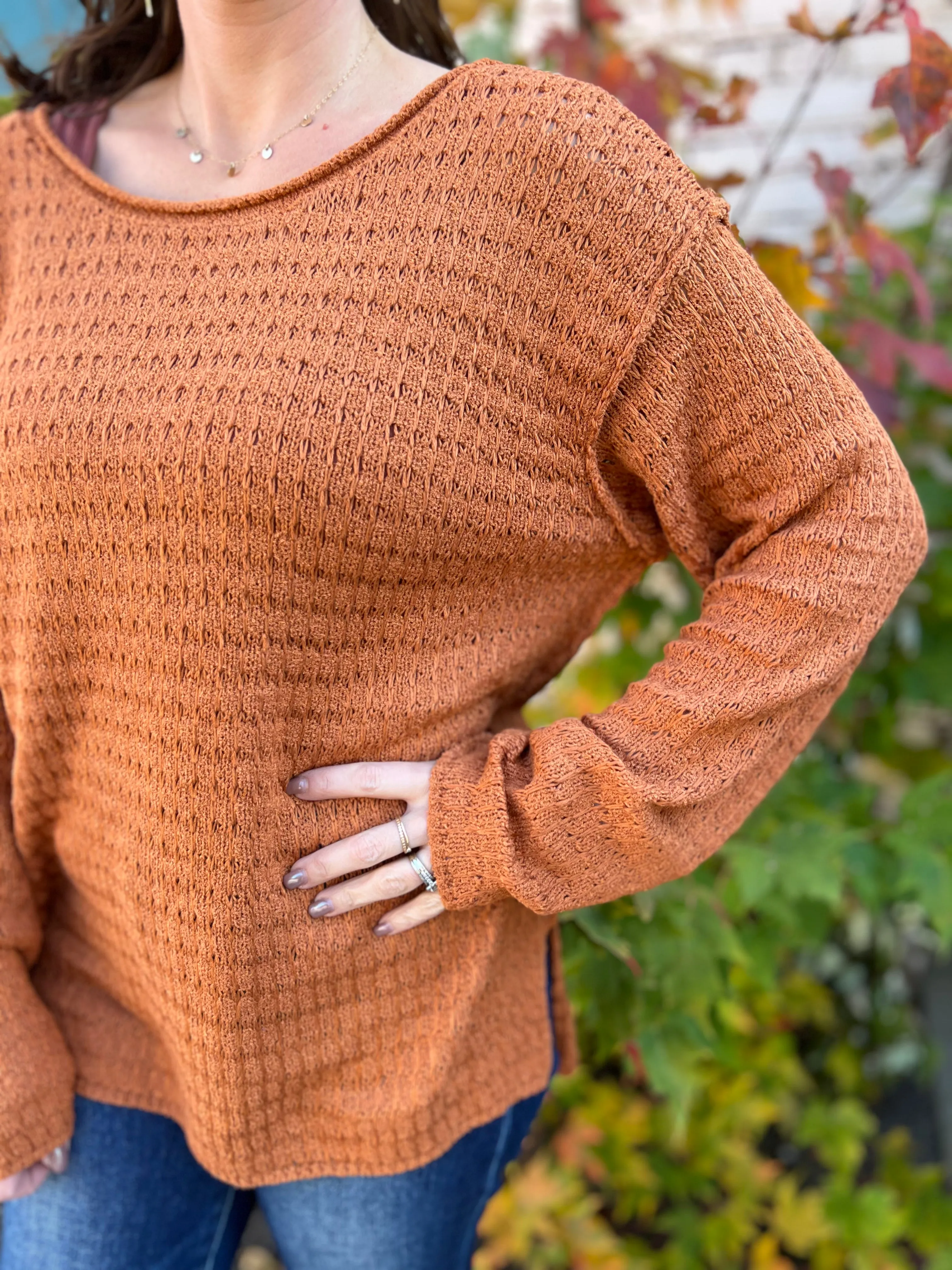 Exposed Seam Knit Pointelle Pattern Sweater