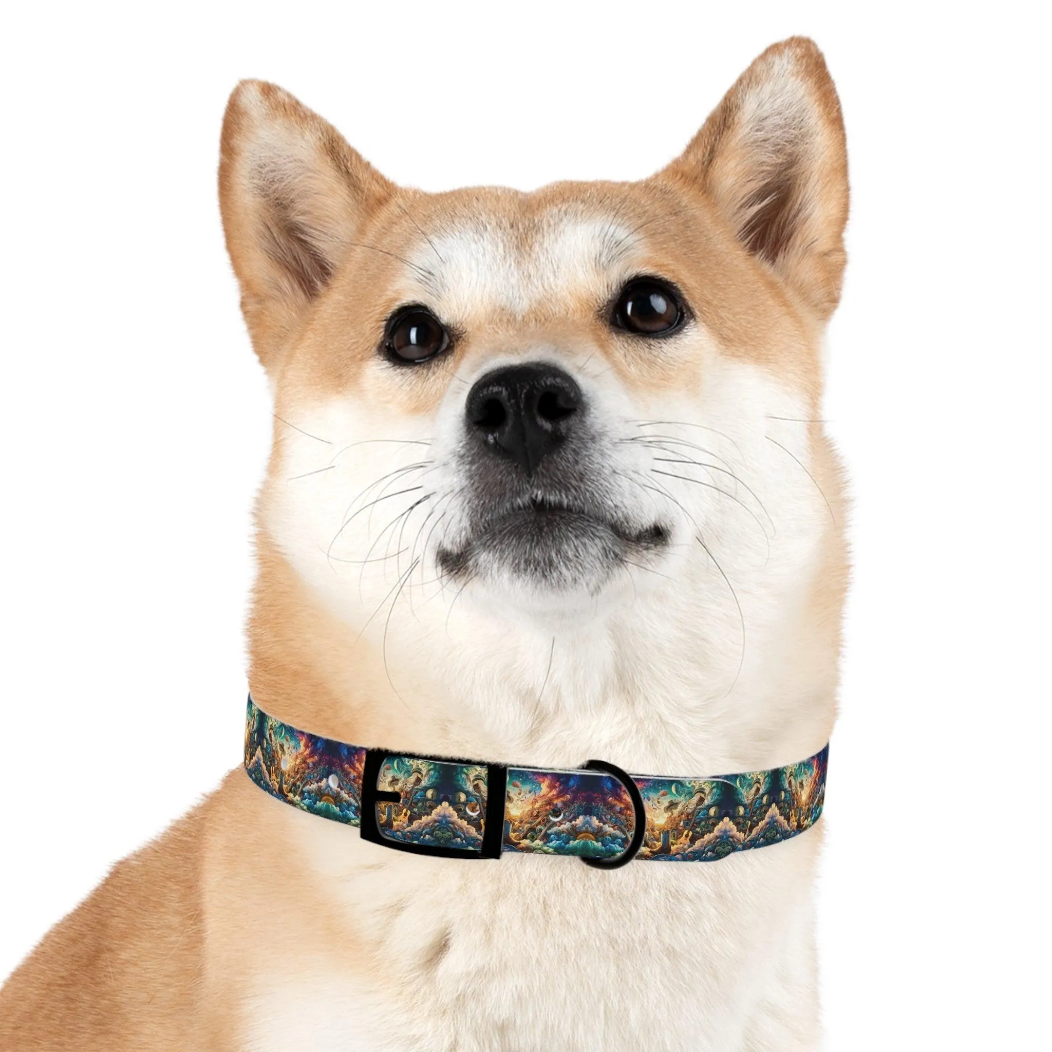 Lonestar Dreamscape Dog Collar