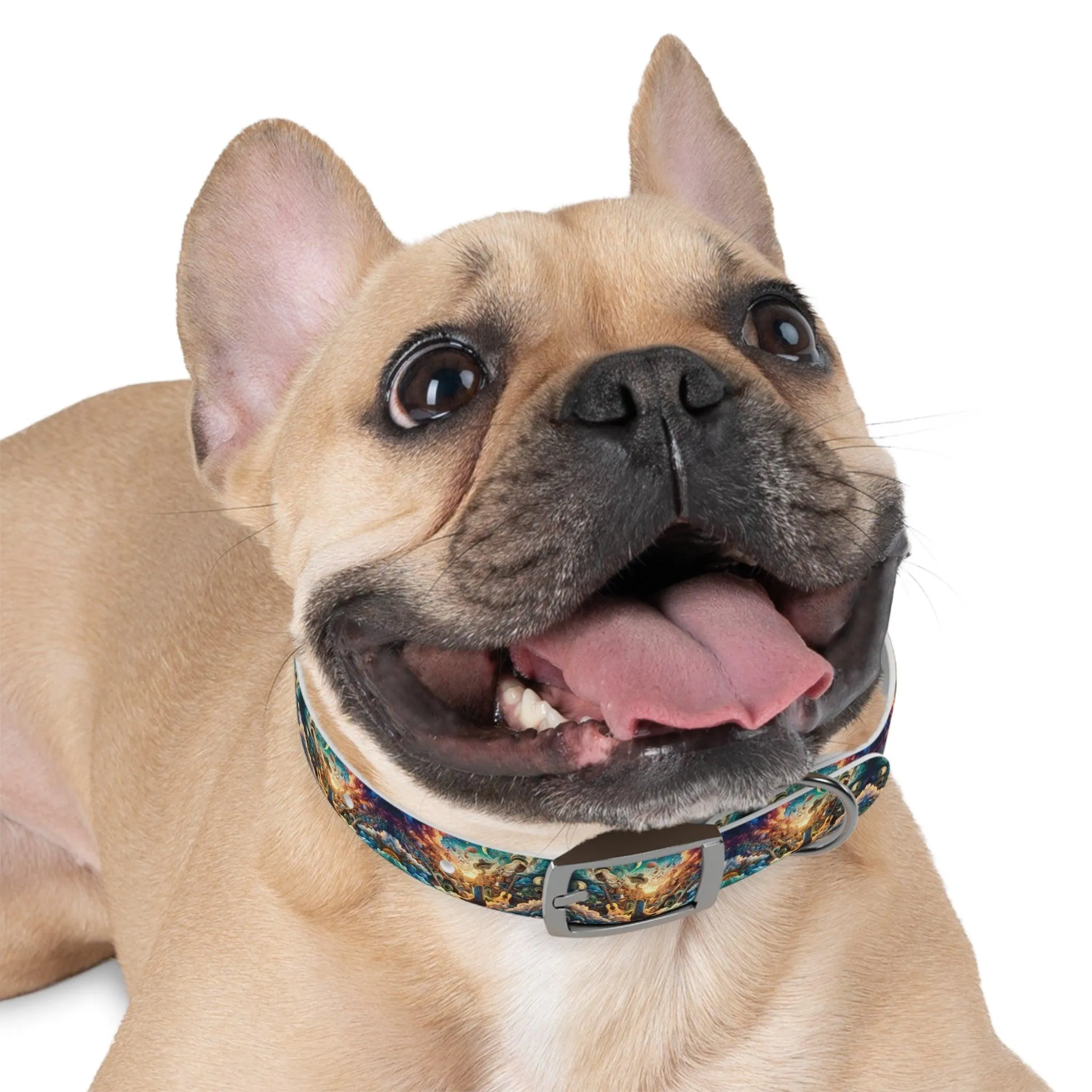 Lonestar Dreamscape Dog Collar