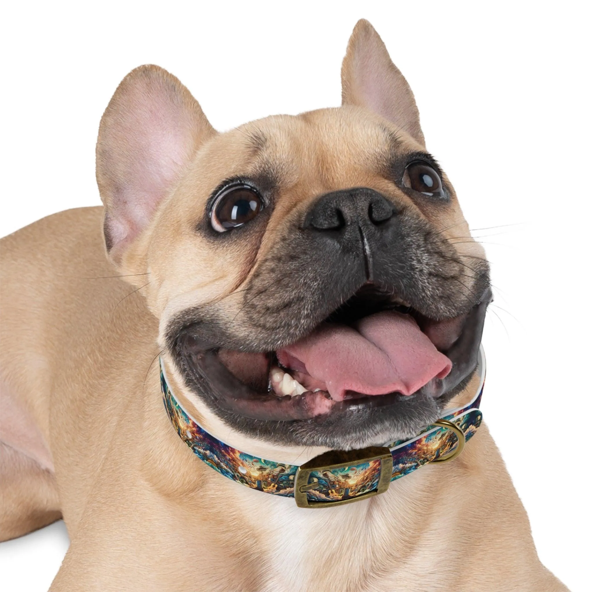 Lonestar Dreamscape Dog Collar