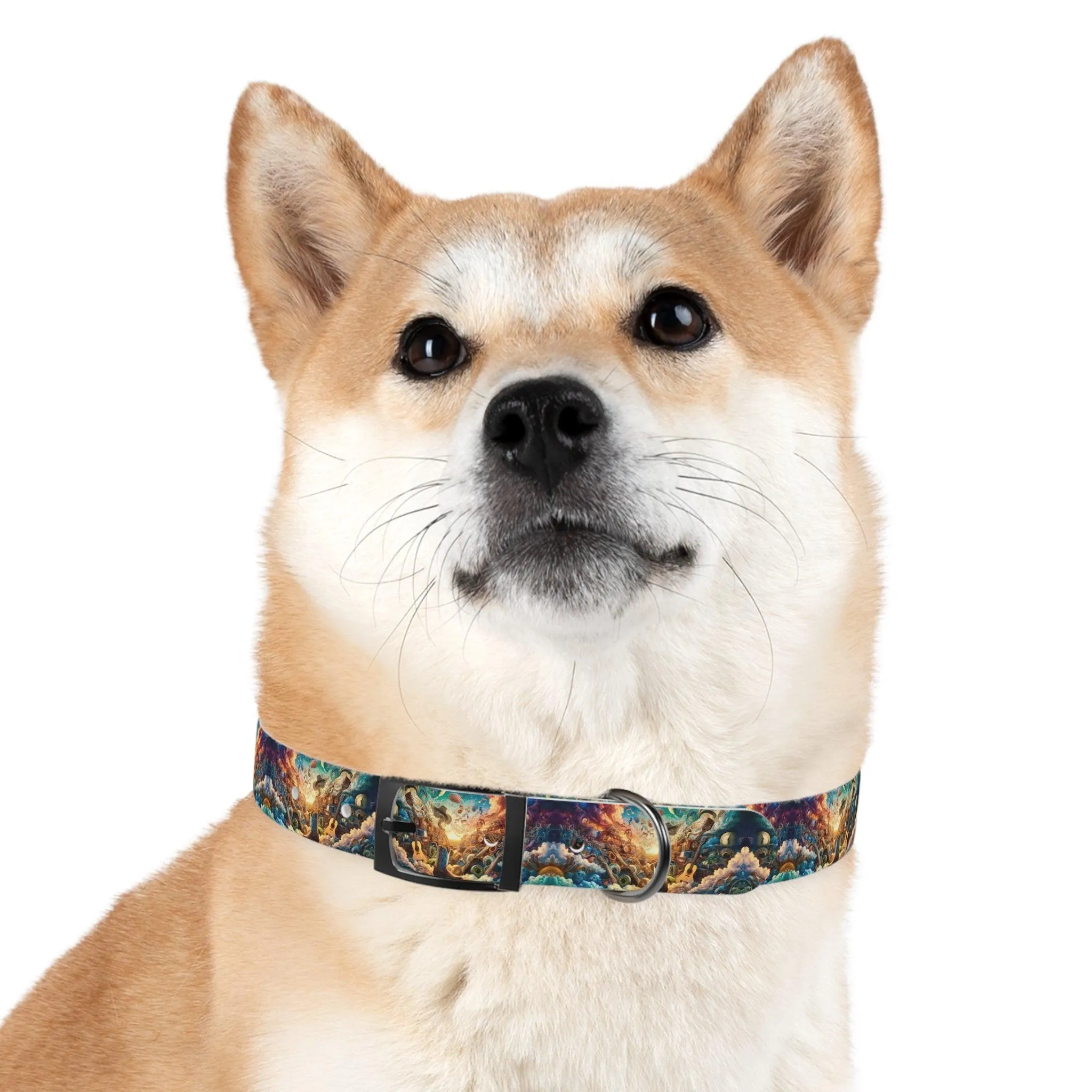 Lonestar Dreamscape Dog Collar