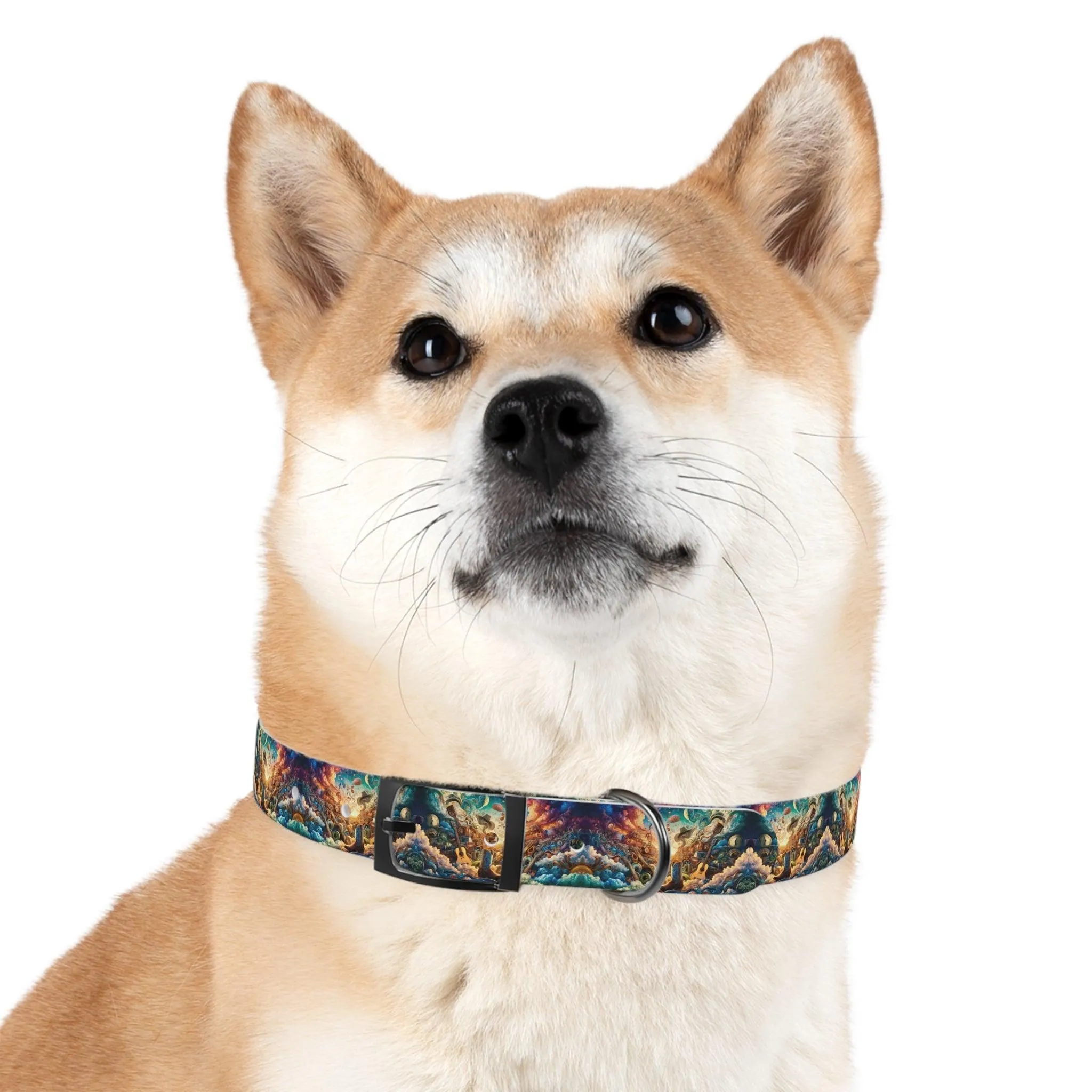 Lonestar Dreamscape Dog Collar