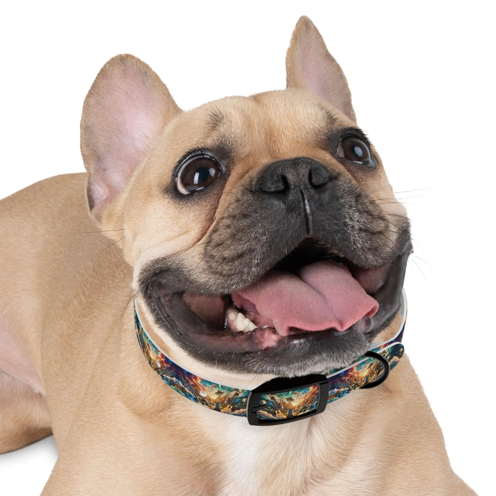 Lonestar Dreamscape Dog Collar