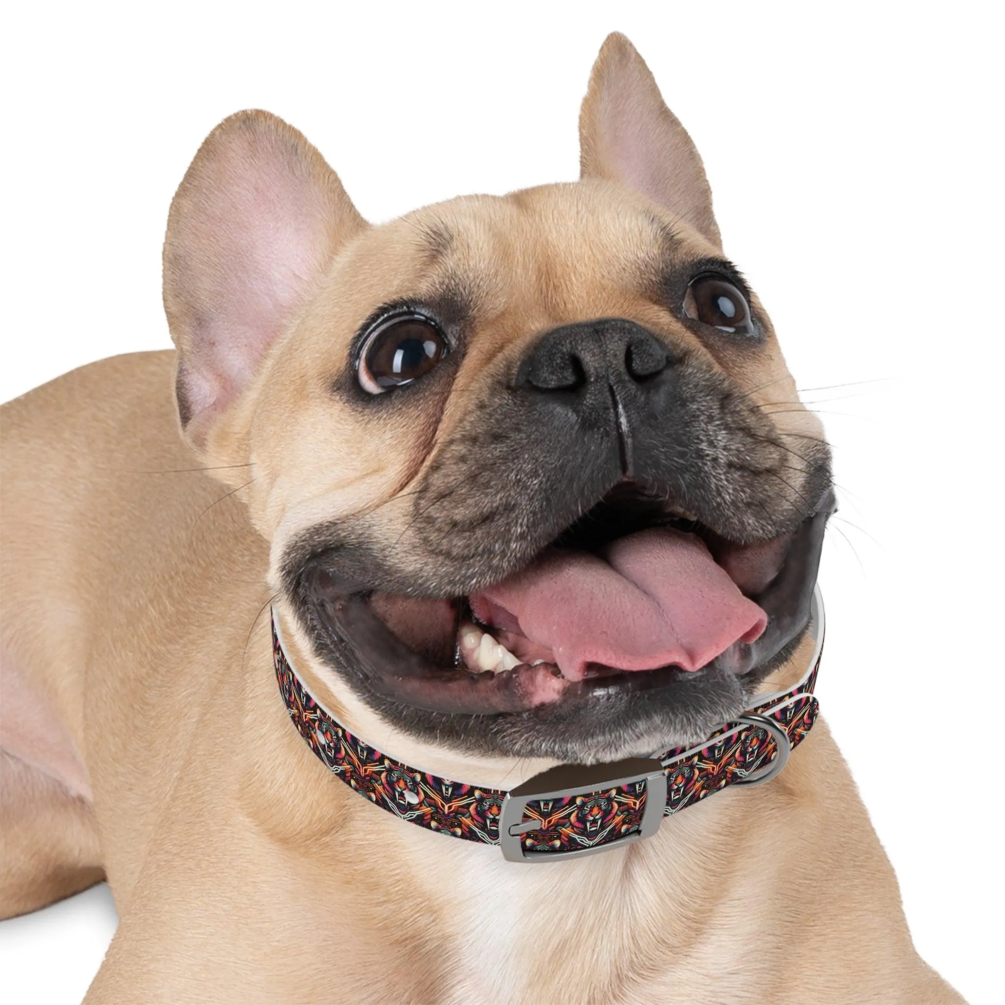 Retro Sabre Dog Collar