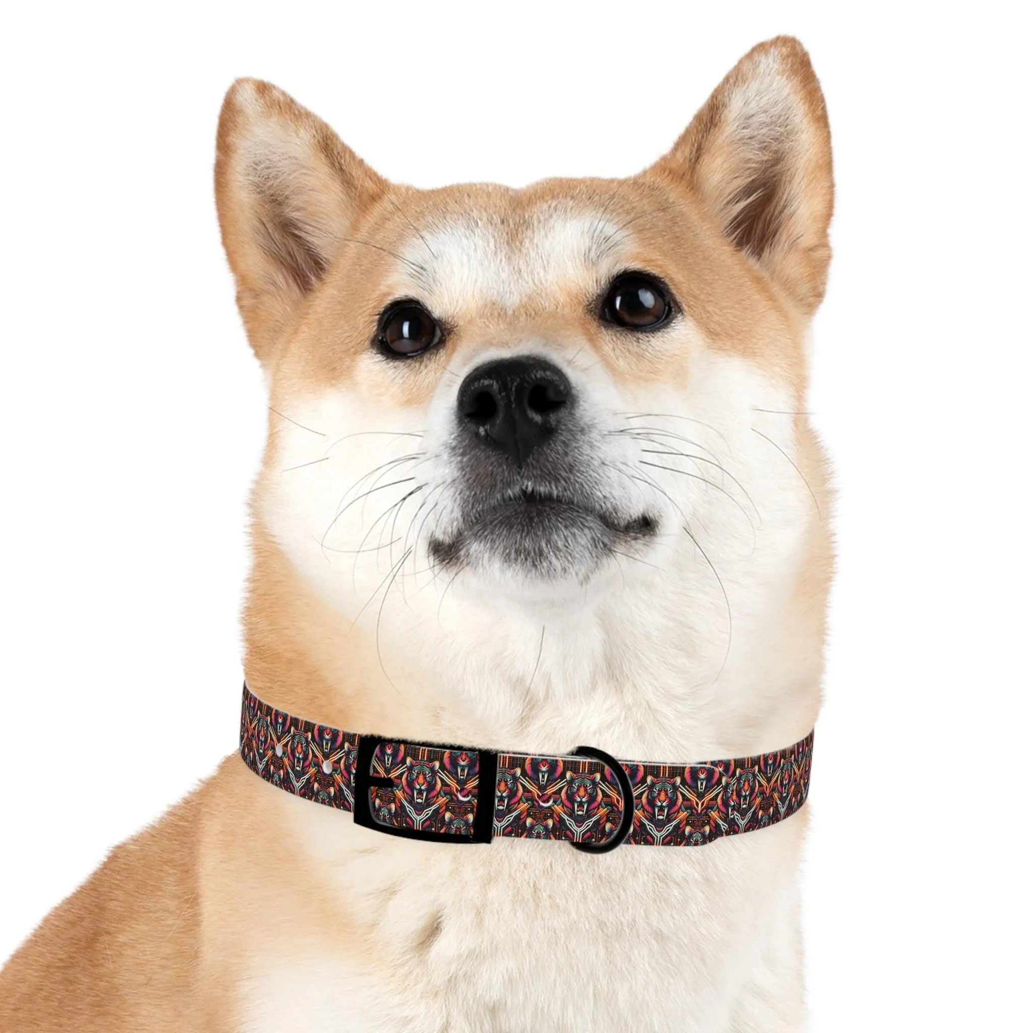 Retro Sabre Dog Collar