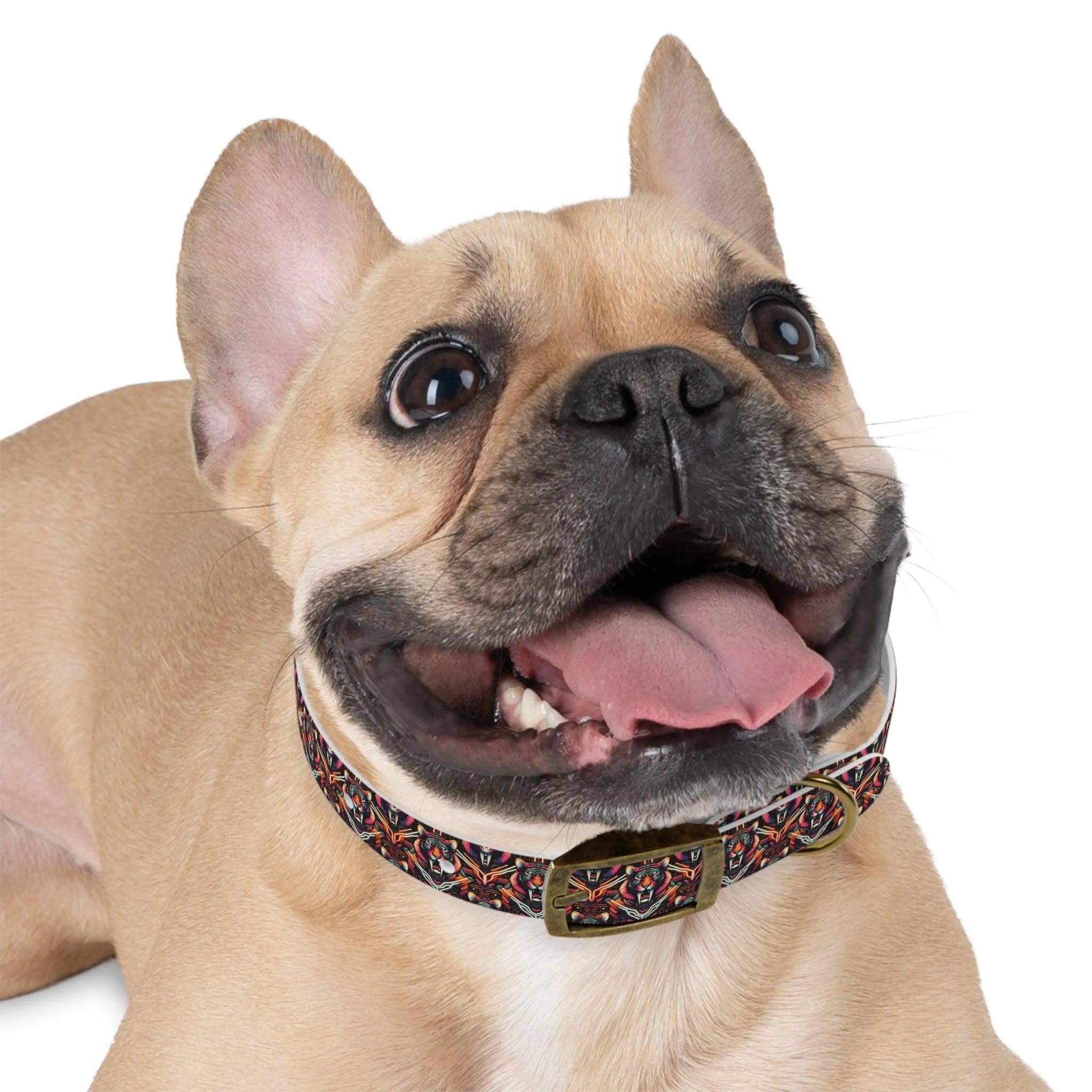 Retro Sabre Dog Collar