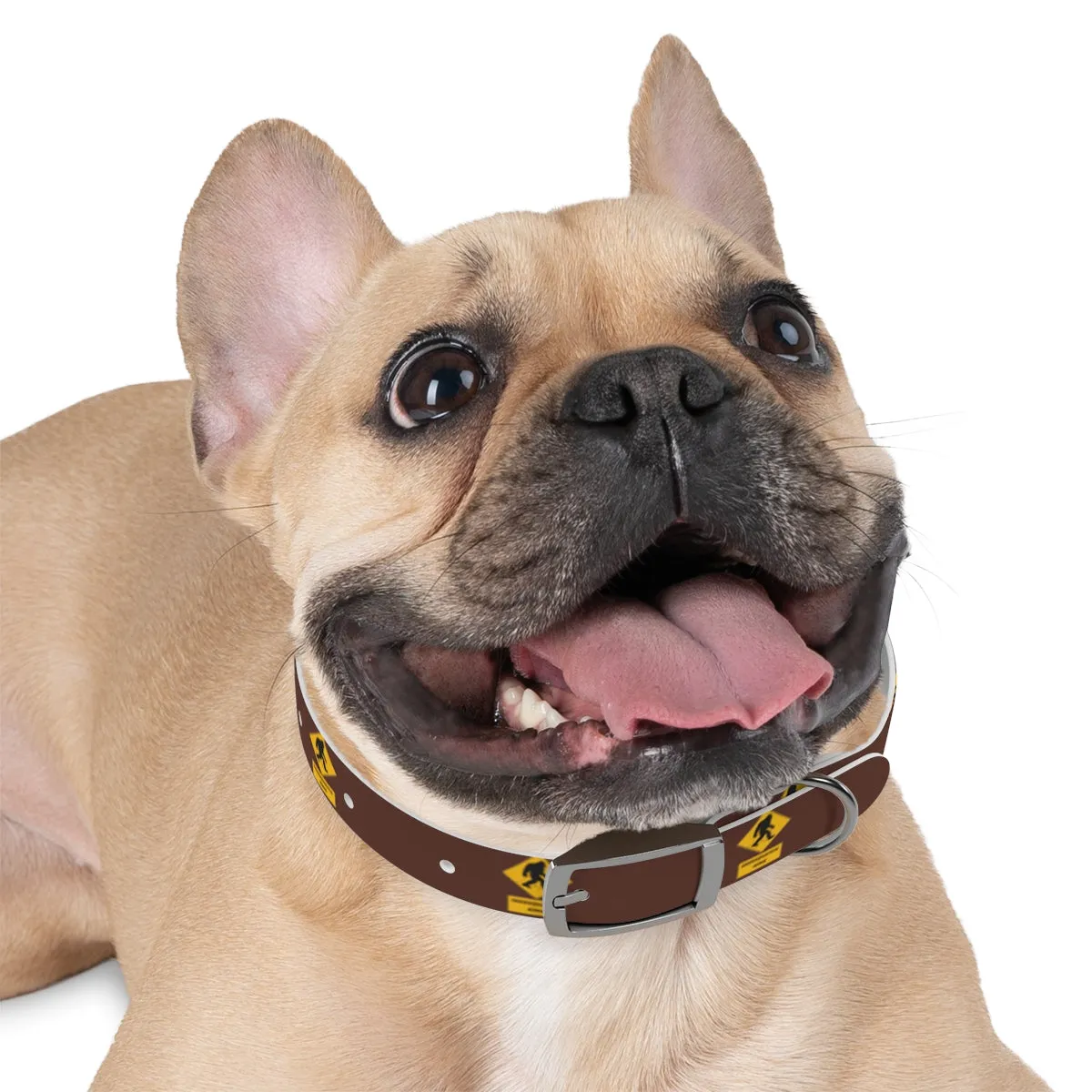 Seedsquatch “Buck” Dog Collar