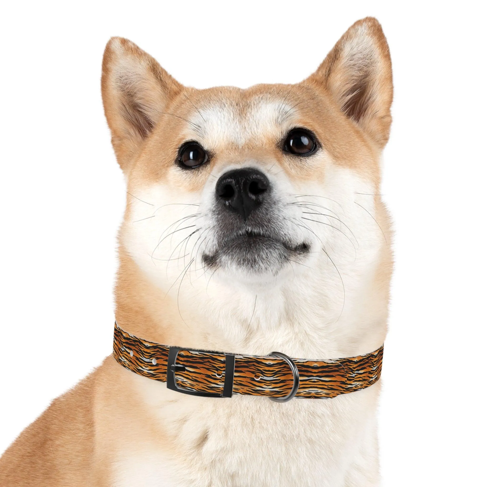 Tiger Print Dog Collar