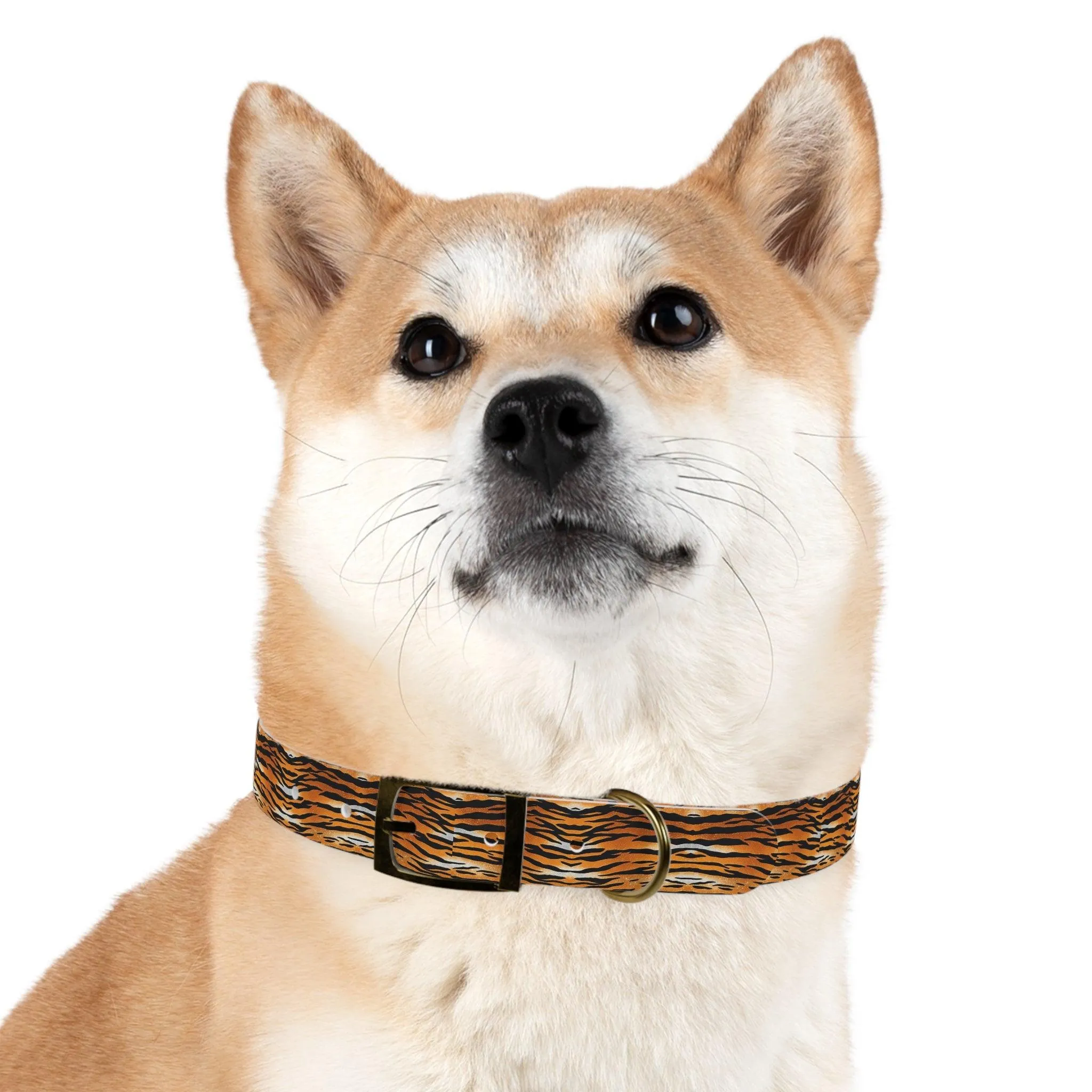 Tiger Print Dog Collar