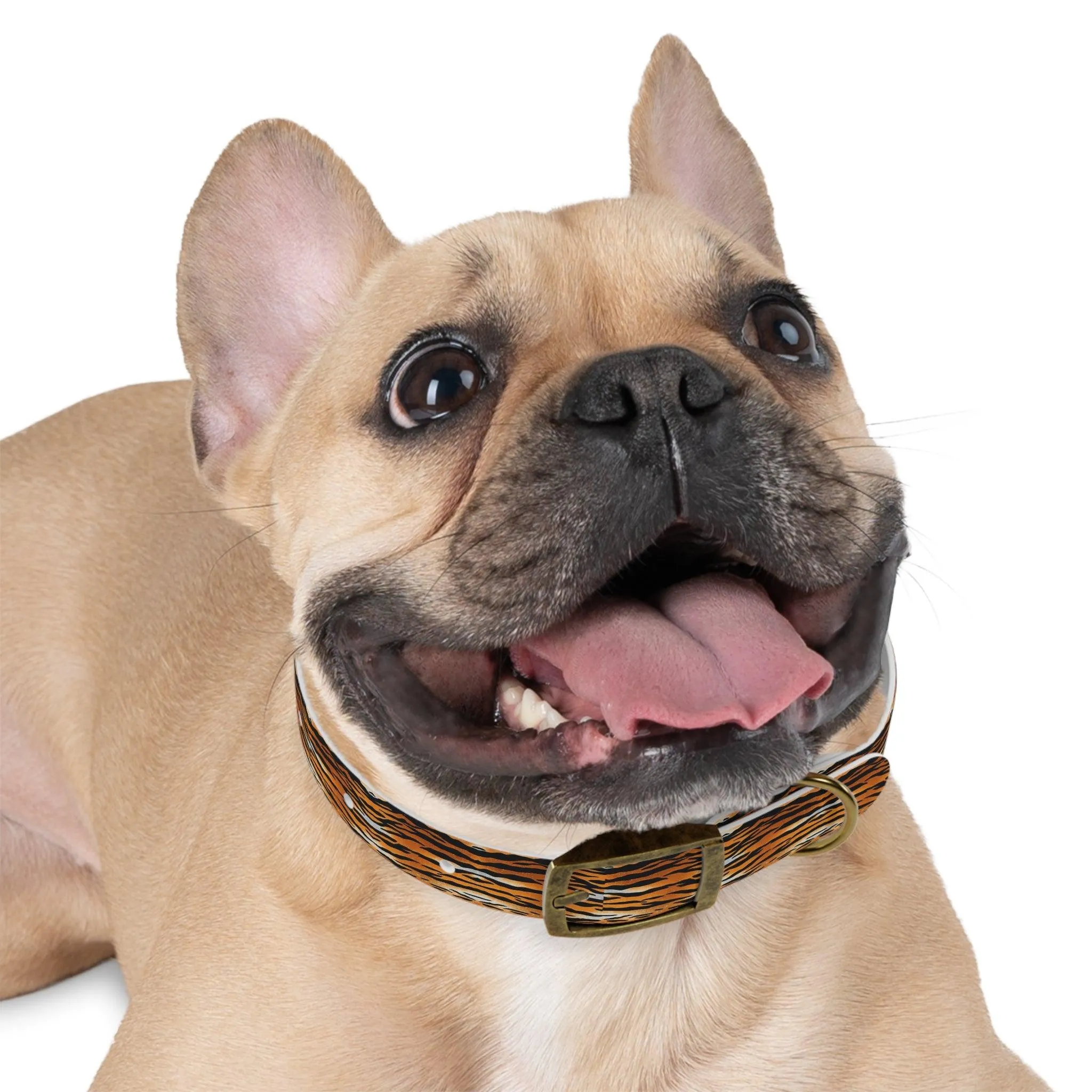 Tiger Print Dog Collar